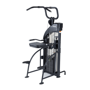SportsArt DF-307 Assisted Chin-Up/Tricep Dip