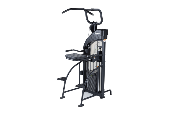SportsArt DF-307 Assisted Chin-Up/Tricep Dip