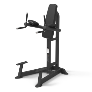 Spirit Vertical Leg Raise/Dip (CSF-VKRD)