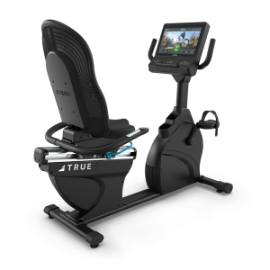 True Fitness Performance Series Recumbent Bike