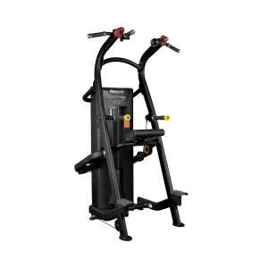 Hoist Chin/Dip Assist Machine